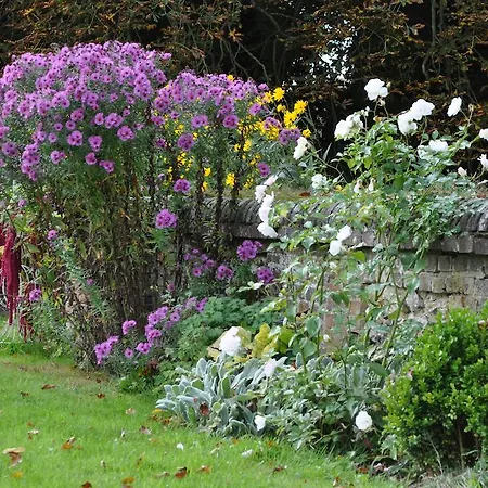 Bed & Breakfast Chateau D'auteuil - D'hotes 4*