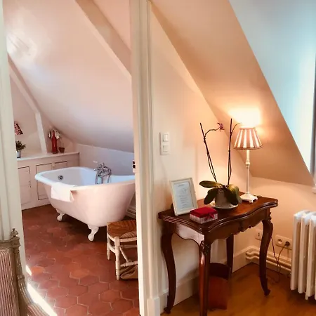 Chateau D'auteuil - D'hotes B&B 4*