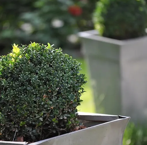 Château D'auteuil - D'hôtes