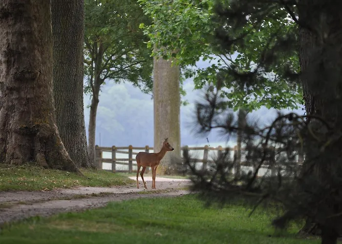 Château D'auteuil - D'hôtes 4* Berneuil-en-Bray